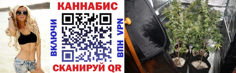 Бошки Шишки White Widow  что такое наркотик  Глазов 